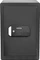 Yale YSFM/520/EG1 Maximum Security Fingerprint Safe Professional Tresor, Schlüsselschloss/elektronisches Zahlenschloss/Fingerprintreader Vorschaubild