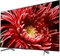 Sony KD-85XG8596 Vorschaubild