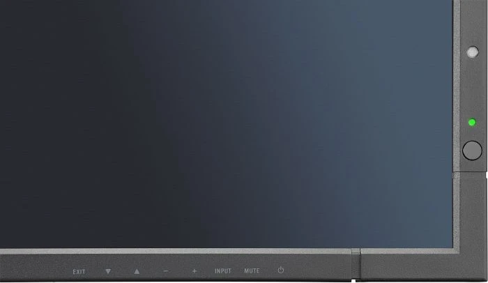 NEC MultiSync P463, 46"