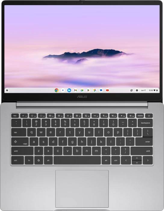 ASUS Chromebook CX14 CX1405CTA-MW0355, Misty Grey, Core 3 N355, 8GB RAM, 128GB Flash, DE