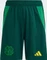 adidas Celtic FC 2024/2025 Auswärtsshorts team dark green (Junior) Vorschaubild