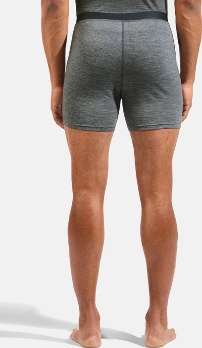 Odlo Natural Merino 160 Boxer Briefs odlo steel grey melange (Herren)
