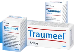 Heel Traumeel Salbe, 100g