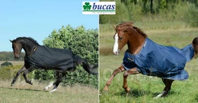 Kerbl Bucas Irish Turnout Light/50 Classic, Regendecke female, 1.35m, 50g, navy/gold
