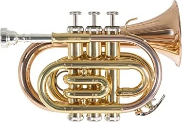 Roy Benson Bb-Taschentrompete PT-101
