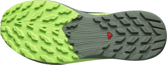 Salomon Sense Ride 5 black/laurel wreath/green gecko (Herren)