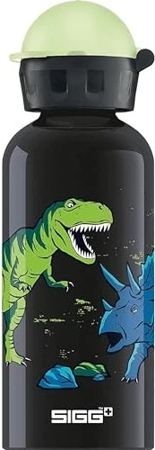 Sigg KBT Trinkflasche