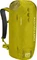 Ortovox Trad Zero 24 dirty daisy Vorschaubild
