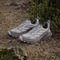 adidas Terrex Trailmaker 2.0 GTX grey one/dash grey/charcoal solid grey (Damen) Vorschaubild