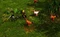 Holy Avatar vs. Maidens of the Dead (Download) (PC) Vorschaubild