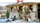 Coppenrath Weihnacht bei den Tieren im Stall Wand-Adventskalender (95888)