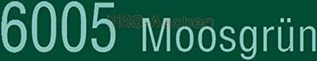 Branth-Chemie Brantho Korrux nitrofest Metallschutz-Lack moosgrün (RAL6005), 750ml