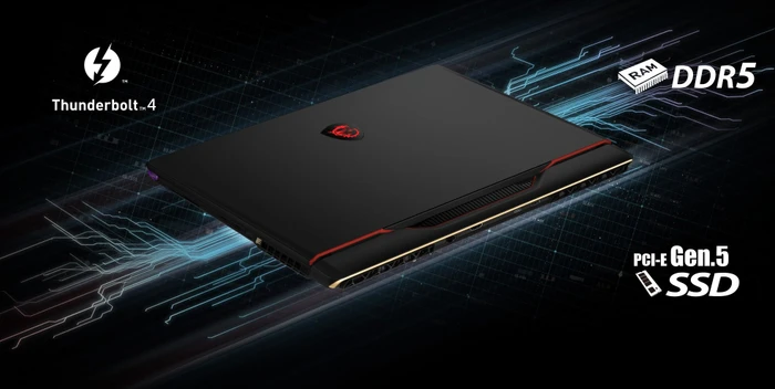 MSI Raider GE78 HX 13VG-035, Cosmos Gray, Core i7-13700HX, 32GB RAM, 2TB SSD, GeForce RTX 4070, DE