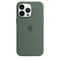 Apple Silikon Case mit MagSafe für iPhone 13 Pro Eukalyptus Vorschaubild
