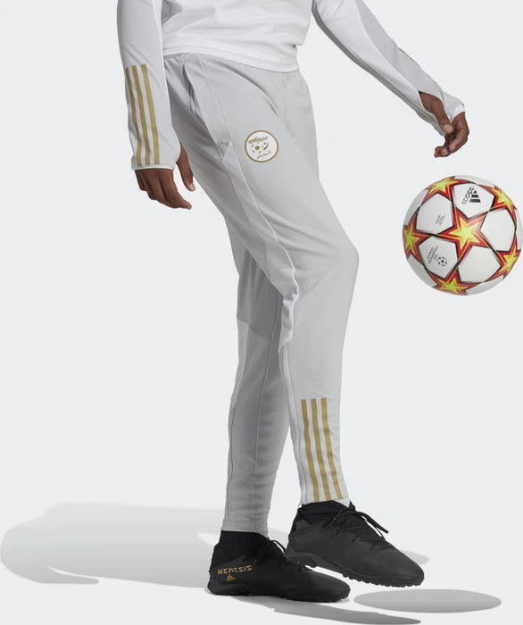 adidas Algerien Tiro 23 Trainingshose lang team light grey (Herren)