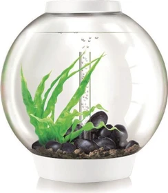 Oase biOrb Classic 60 LED Thermo Aquarium-Set, weiß, 60l