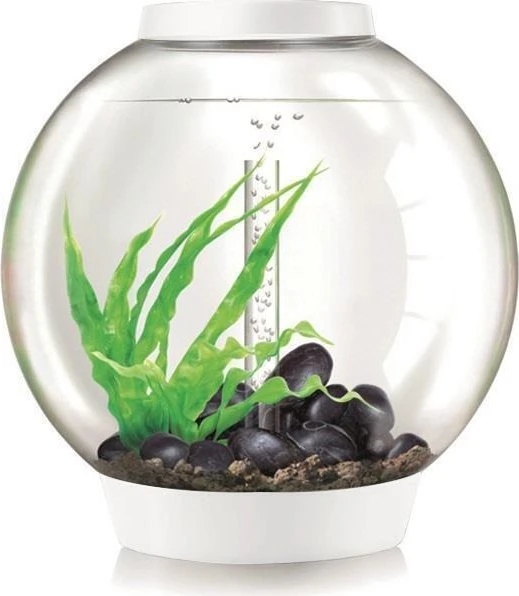 Oase biOrb Classic 60 LED Thermo Aquarium-Set, weiß, 60l