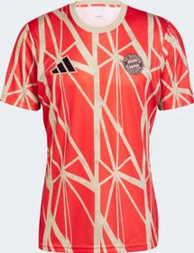 adidas FC Bayern München 2024/2025 Aufwärmshirt (Herren)