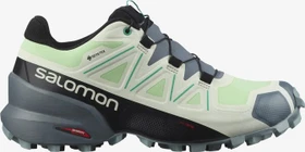Salomon Speedcross 5 GTX patina green/stormy weather/peacock green (Damen)