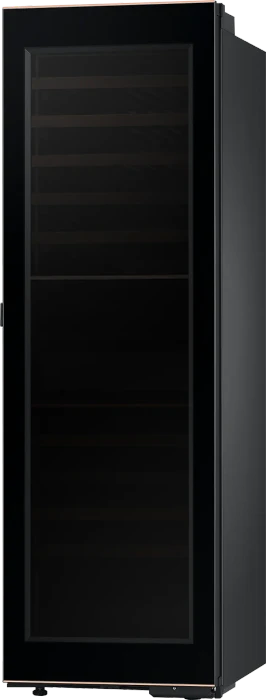 Samsung RR9000A RW33B99C5TF Bespoke