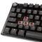 Ducky One 3, Aura Black, LEDs RGB, MX RGB RED, USB, US Vorschaubild