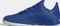 adidas X 19.3 IN royal blue/cloud white/core black (Herren) Vorschaubild