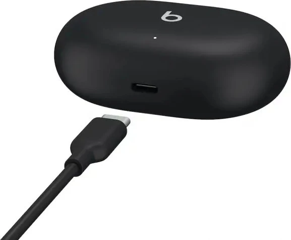 Apple Beats Studio Buds schwarz