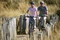 Fischer Terra 2.2 Active 688Wh smoke grey matt Modell 2025 Vorschaubild