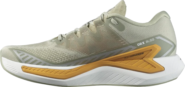 Salomon DRX Bliss desert sage/zinna/white (Herren)