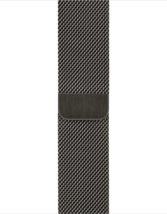Apple Watch Series 6 (GPS + Cellular) 40mm Edelstahl graphit mit Milanaise-Armband graphit