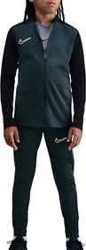 Nike Academy Trainingsanzug seaweed/black/limelight (Junior)