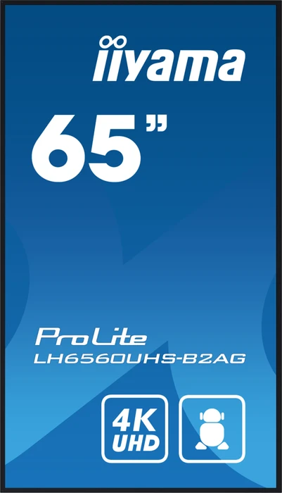 iiyama ProLite LH6560UHS-B2AG, 64.5"