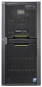 Fujitsu Primergy TX200 S6, Xeon DP/MP/UP, 4GB RAM (VFY:T2006SX080GB)