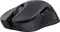 Trust Gaming GXT 923 YBAR Wireless Gaming Mouse schwarz, USB Vorschaubild