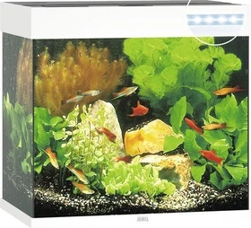Juwel Lido 120 LED Aquarium-Set, weiß, 120l