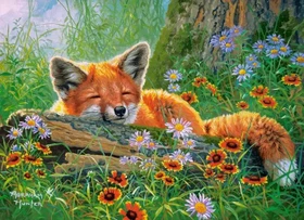 Castorland Foxy Dreams