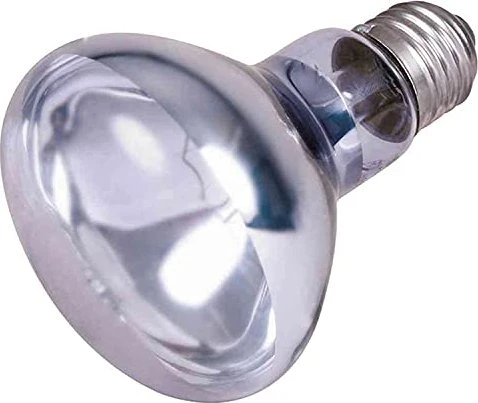 Trixie Neodymium-Wärme-Spotlampe, R80, E27, 100W