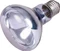 Trixie Neodymium-Wärme-Spotlampe Vorschaubild