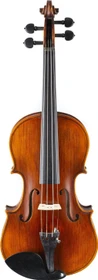 Stentor Elysia Violine