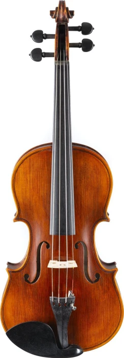 Stentor Elysia Violine