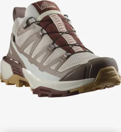 Salomon X Ultra 360 Edge GTX silver cloud/iron/rum raisin (Damen)