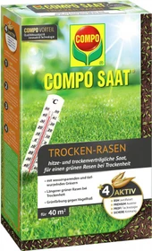 Compo Saat Trocken-Rasen Saatgut, 1kg