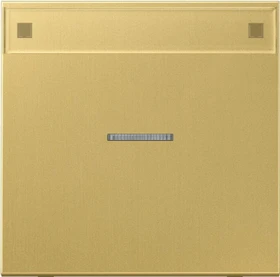 Jung Serie LS Wippe mit Lichtleiter und Schriftfeld 1fach, Messing classic