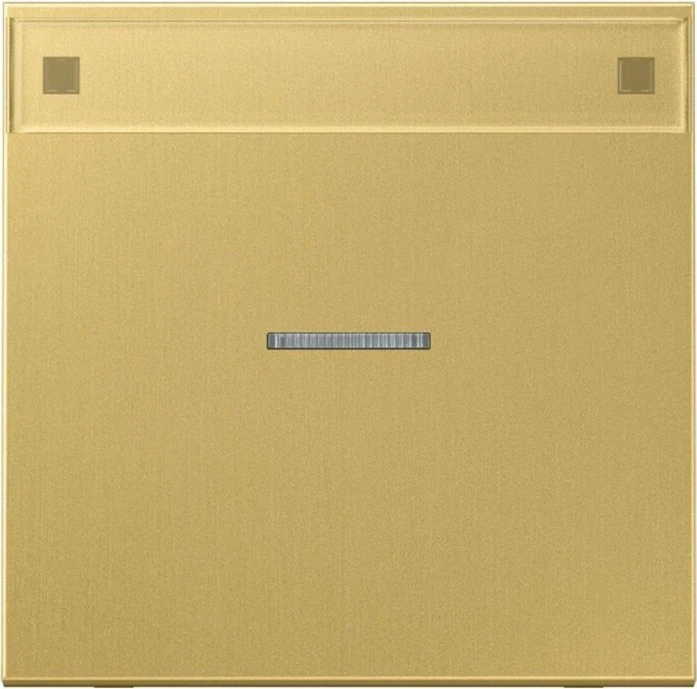 Jung Serie LS Wippe mit Lichtleiter und Schriftfeld 1fach, Messing classic