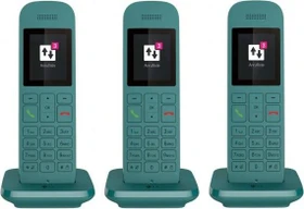 Telekom Speedphone 12 Trio petrol