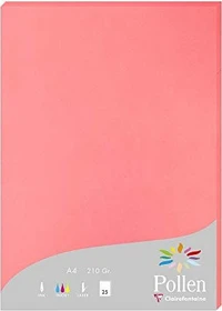 Clairefontaine Pollen Universalpapier litschi, A4, 210g/m², 25 Blatt