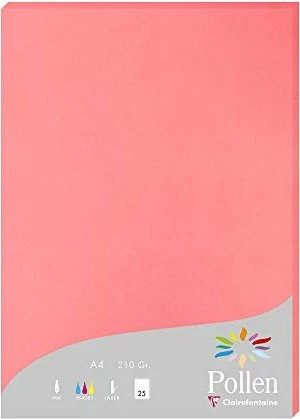 Clairefontaine Pollen Universalpapier litschi, A4, 210g/m², 25 Blatt
