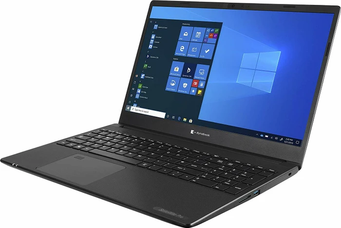 Dynabook Satellite Pro L50-J-109, schwarz, Core i5-1135G7, 8GB RAM, 256GB SSD, DE