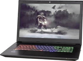 Nexoc G1742, Core i7-8700, 32GB RAM, 250GB SSD, 1TB HDD, GeForce RTX 2070, DE