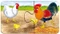 Ravensburger Puzzle Auf dem Bauernhof Vorschaubild